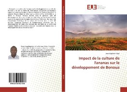 Impact de la culture de l'ananas sur le développement de Bonoua