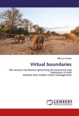 Virtual boundaries