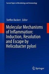 Molecular Mechanisms of Inflammation: Induction, Resolution and Escape by Helicobacter pylori