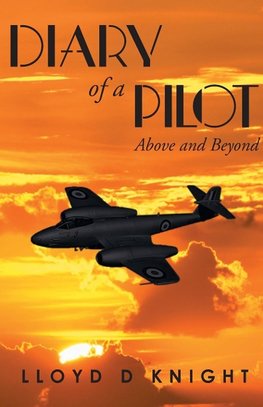 Diary of a Pilot