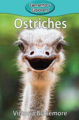 Ostriches