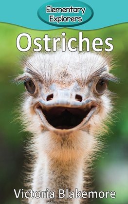 Ostriches