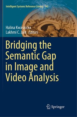 Bridging the Semantic Gap in Image and Video Analysis