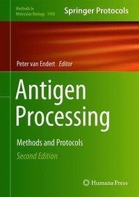 Antigen Processing