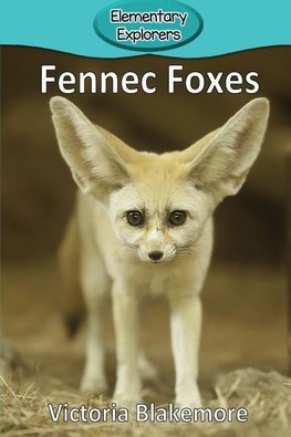 Fennec Foxes