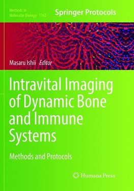 Intravital Imaging of Dynamic Bone and Immune Systems