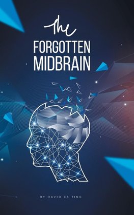 The Forgotten Midbrain