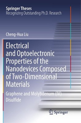 Electrical and Optoelectronic Properties of the Nanodevices Composed of Two-Dimensional Materials