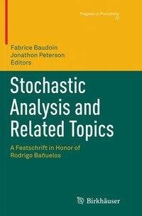 Stochastic Analysis and Related Topics