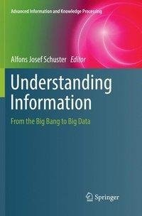 Understanding Information