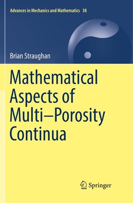 Mathematical Aspects of Multi-Porosity Continua