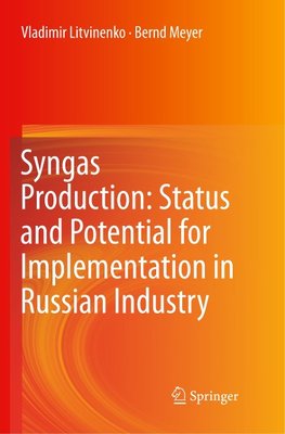 Syngas Production: Status and Potential for Implementation in Russian Industry