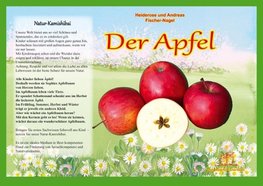 Naturkamishibai - Der Apfel