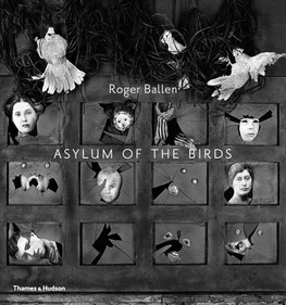 The Asylum of the Birds