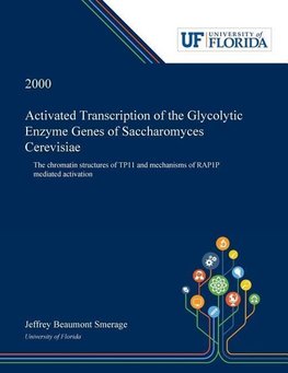 Activated Transcription of the Glycolytic Enzyme Genes of Saccharomyces Cerevisiae