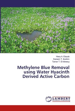 Methylene Blue Removal using Water Hyacinth Derived Active Carbon