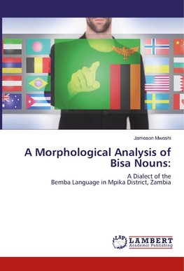 A Morphological Analysis of Bisa Nouns: