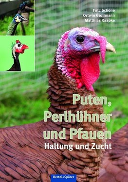 Puten, Perlhühner und Pfauen