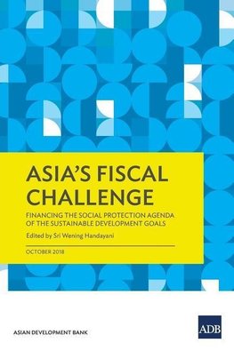 Asia's Fiscal Challenge