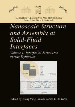 Nanoscale Structure and Assembly at Solid-Fluid Interfaces