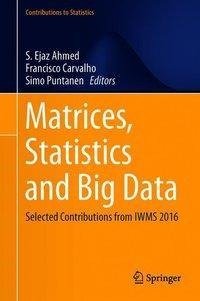 Matrices, Statistics and Big Data