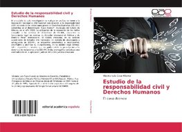 Estudio de la responsabilidad civil y Derechos Humanos