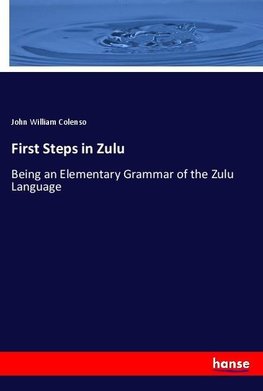 First Steps in Zulu