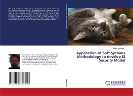 Application of Soft Systems Methodology to develop IS Security Model