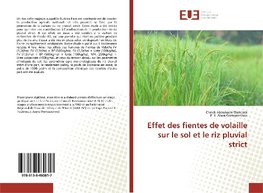 Effet des fientes de volaille sur le sol et le riz pluvial strict