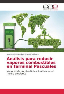 Análisis para reducir vapores combustibles en terminal Pascuales