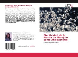 Efectividad de la Planta de Malojillo como Antibacterial