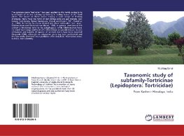 Taxonomic study of subfamily-Tortricinae (Lepidoptera: Tortricidae)
