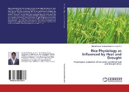 Rice Physiology as Influenced by Heat and Drought