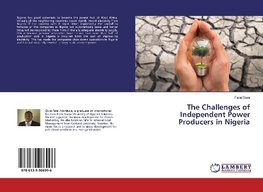 The Challenges of Independent Power Producers in Nigeria