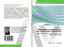 Magnetisierungsverhalten von anisotropen Spinleitern