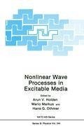 Nonlinear Wave Processes in Excitable Media