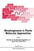 Morphogenesis in Plants