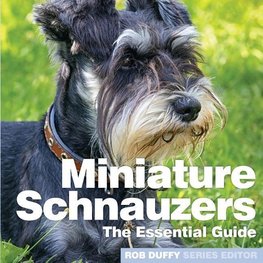 Miniture Schnauzers