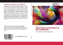 Hiperdulía gudalupana de CARRIZAL