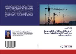 Computational Modeling of Some Tribological Problems in Lubrication