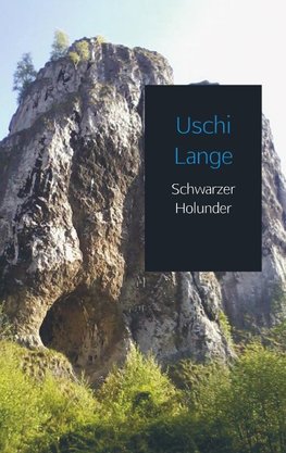 Schwarzer Holunder