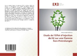 Etude de l'Effet d'Injection de H2 sur une Flamme Non-Prémélangée