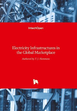 Electricity Infrastructures in the Global Marketplace