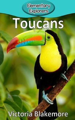 Toucans