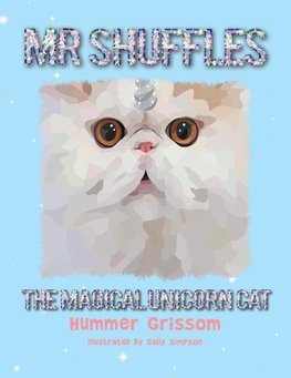 Mr Shuffles