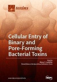 Cellular Entry of Binary and Pore-Forming Bacterial Toxins