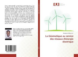 La Géomatique au service des réseaux d'énergie électrique