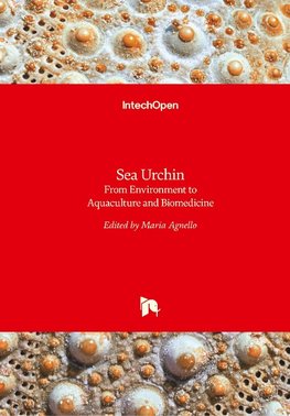 Sea Urchin