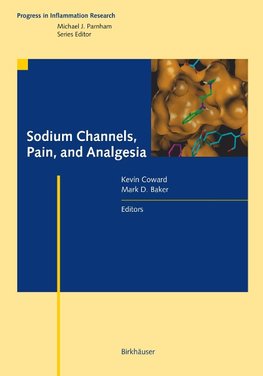 Sodium Channels, Pain, and Analgesia