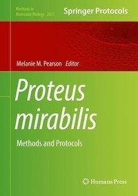 Proteus mirabilis